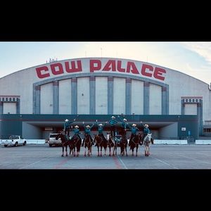 Meet your Posher, Kyley